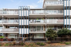 Zadkinerade 17_05.jpg